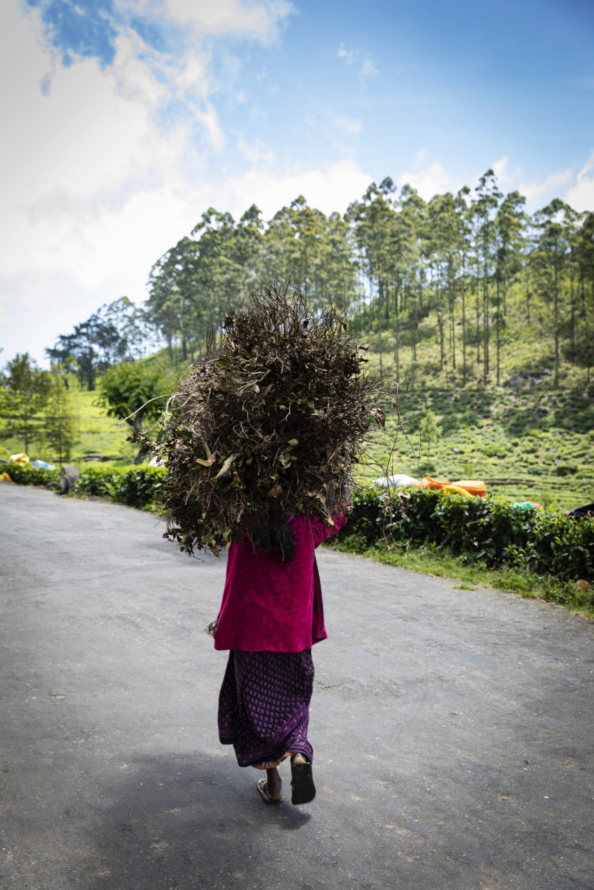 photographie de reportage développement durable