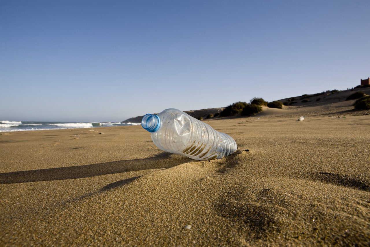 Photographie corporate du dévelloppement durable