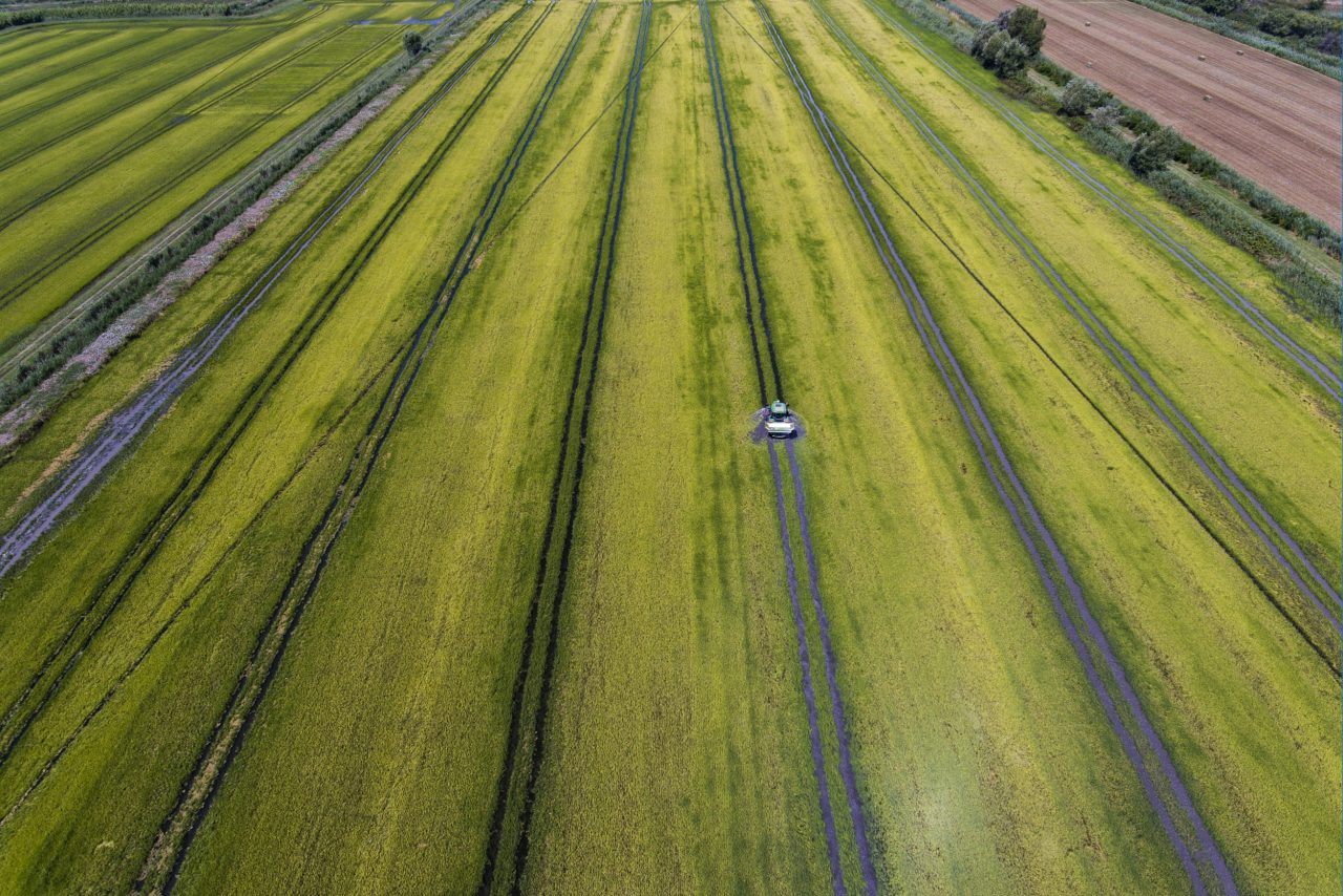 Photographie corporate professionnelle aérienne par drone d'une rizière